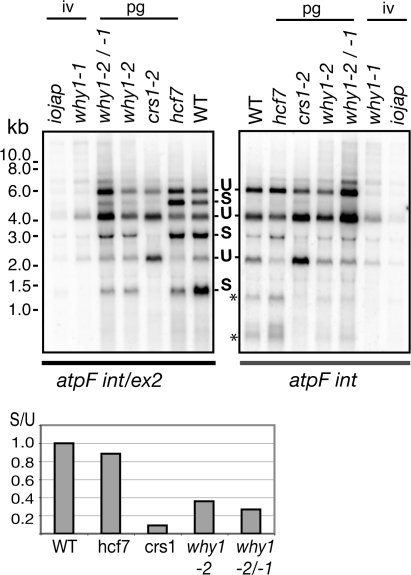 Figure 6.