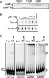 Figure 9.