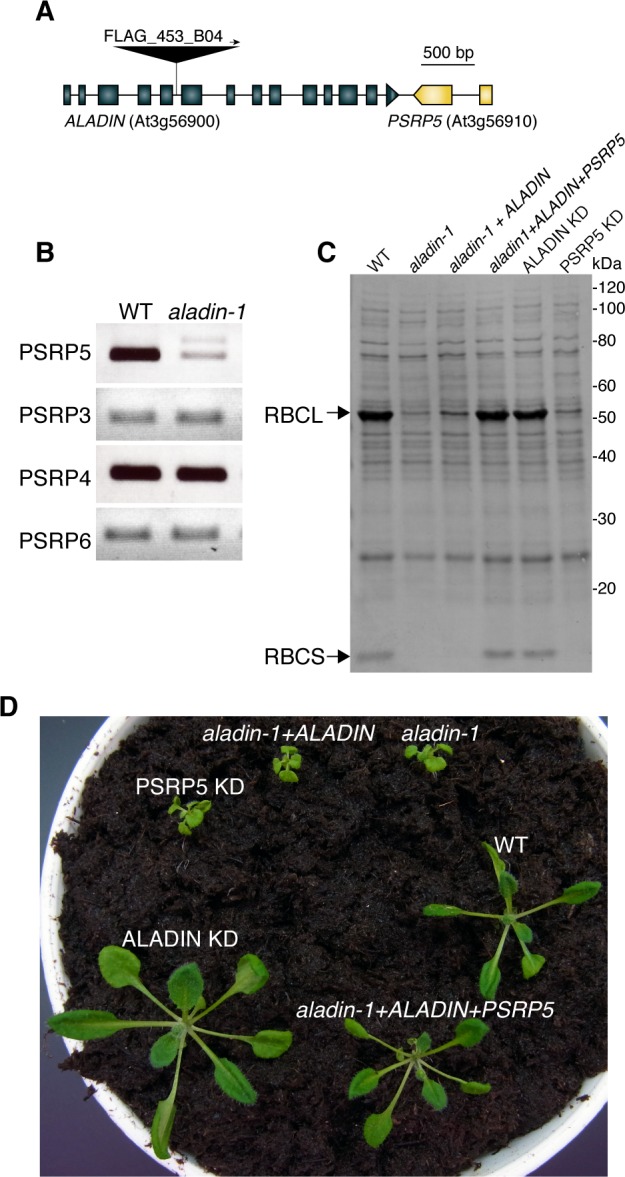 Fig 4