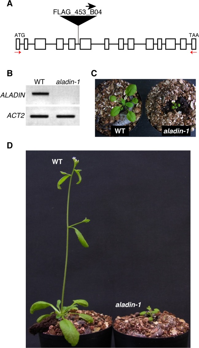 Fig 1