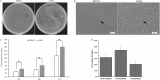 FIG 6