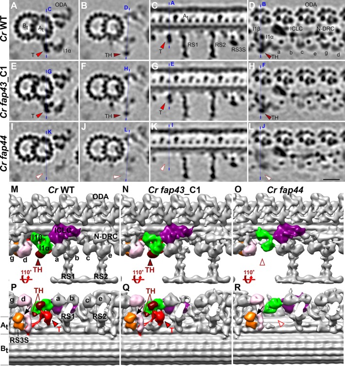 FIGURE 2: