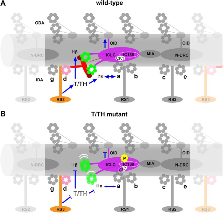 FIGURE 6: