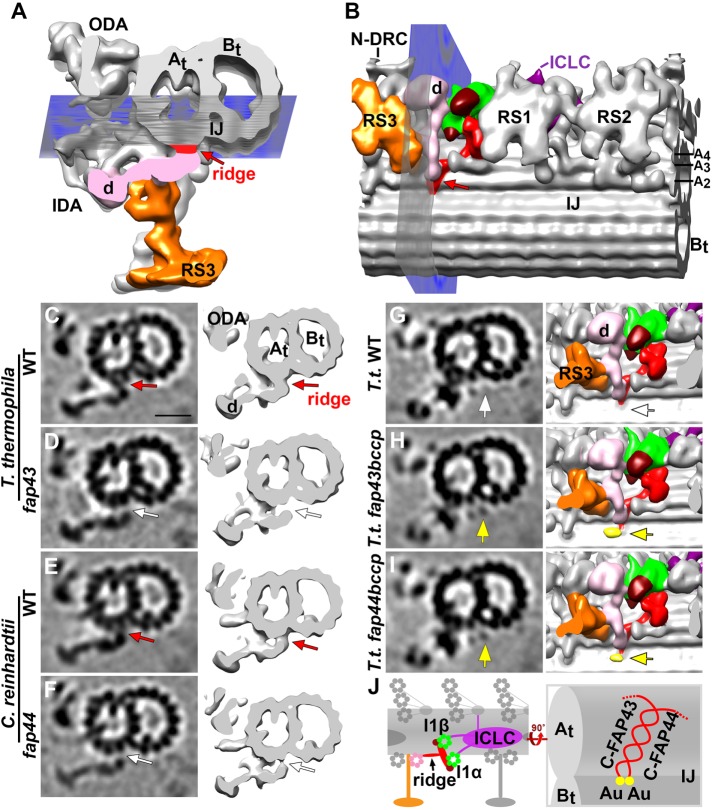 FIGURE 3: