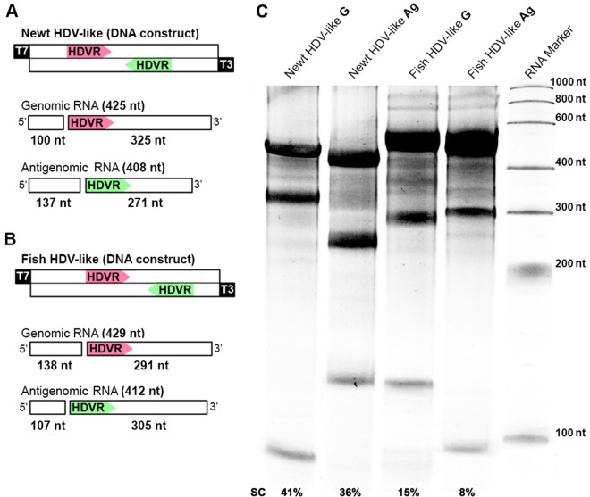 Figure 5.