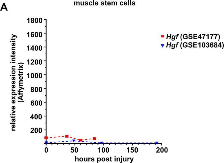 Figure 1—figure supplement 1.