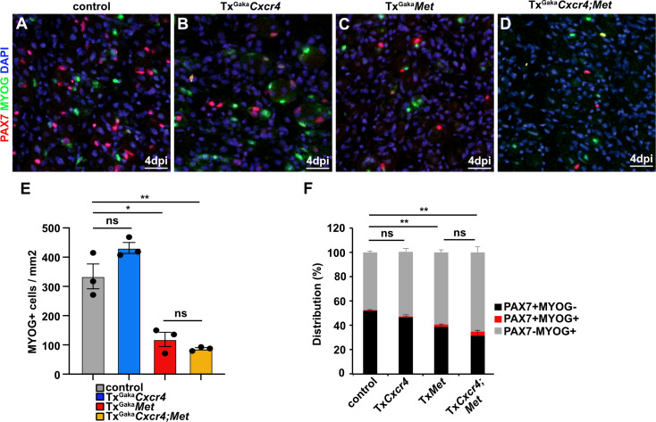 Figure 6—figure supplement 2.