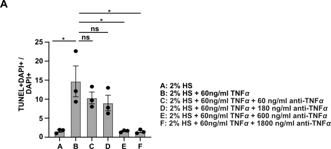 Figure 7—figure supplement 1.