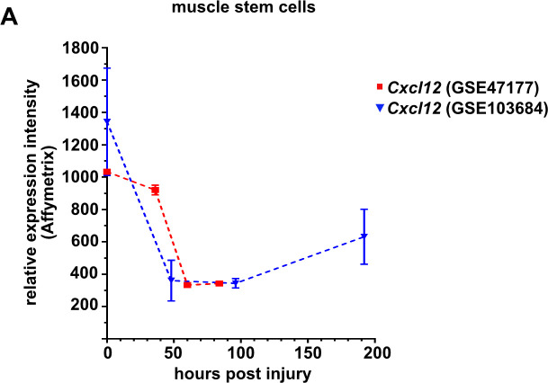 Figure 4—figure supplement 1.