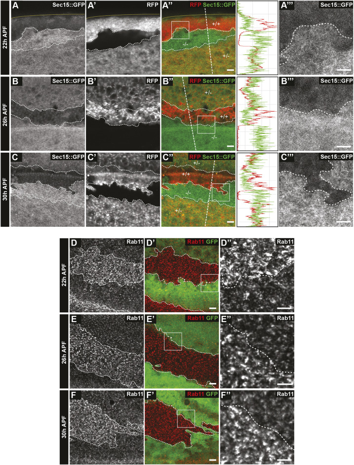 Fig. 3.