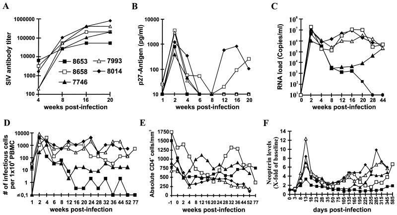 FIG. 10