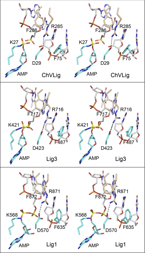 FIGURE 5.