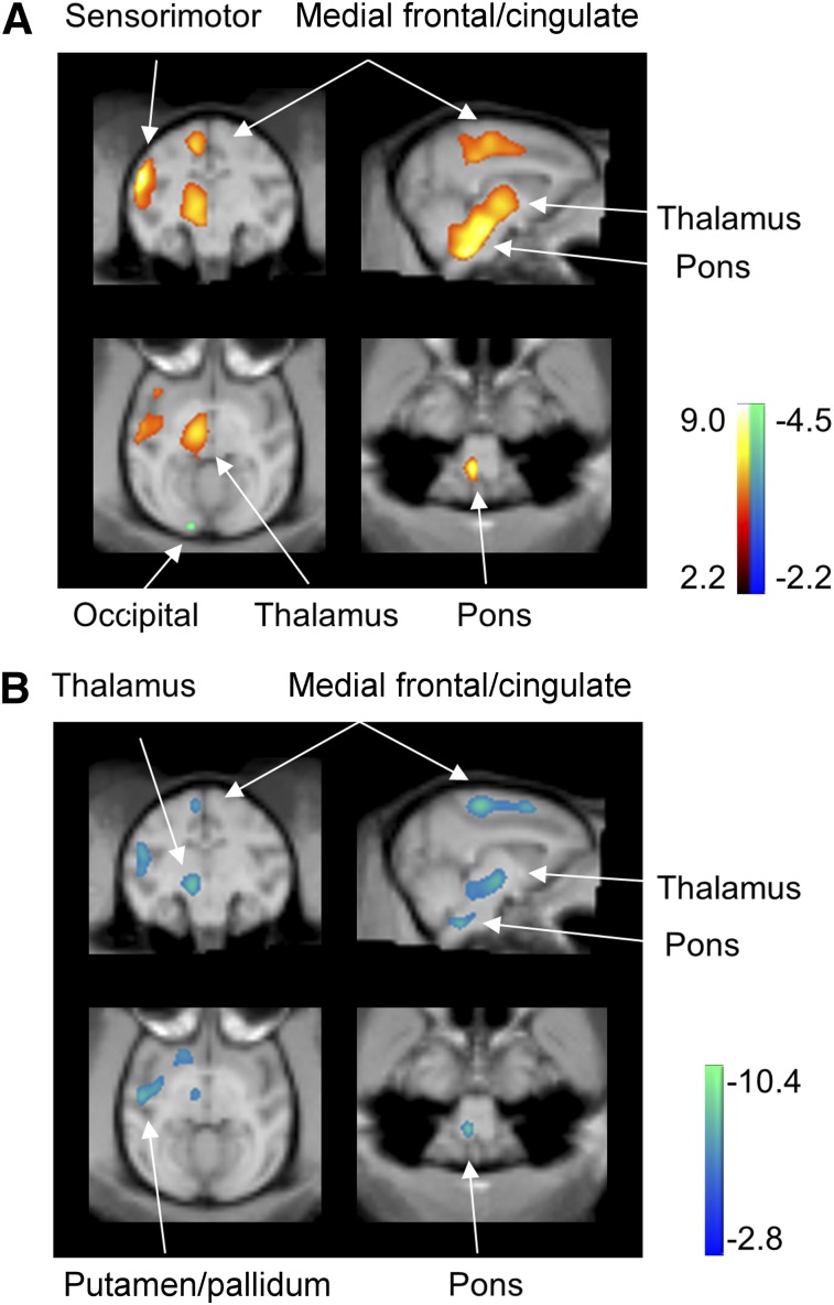 FIGURE 4.