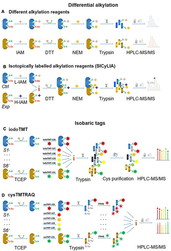 FIGURE 3