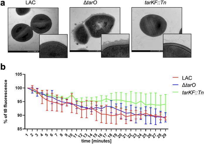 FIG 4