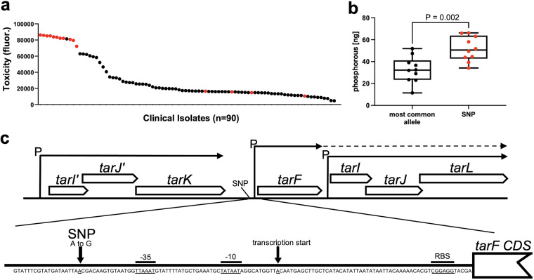 FIG 1