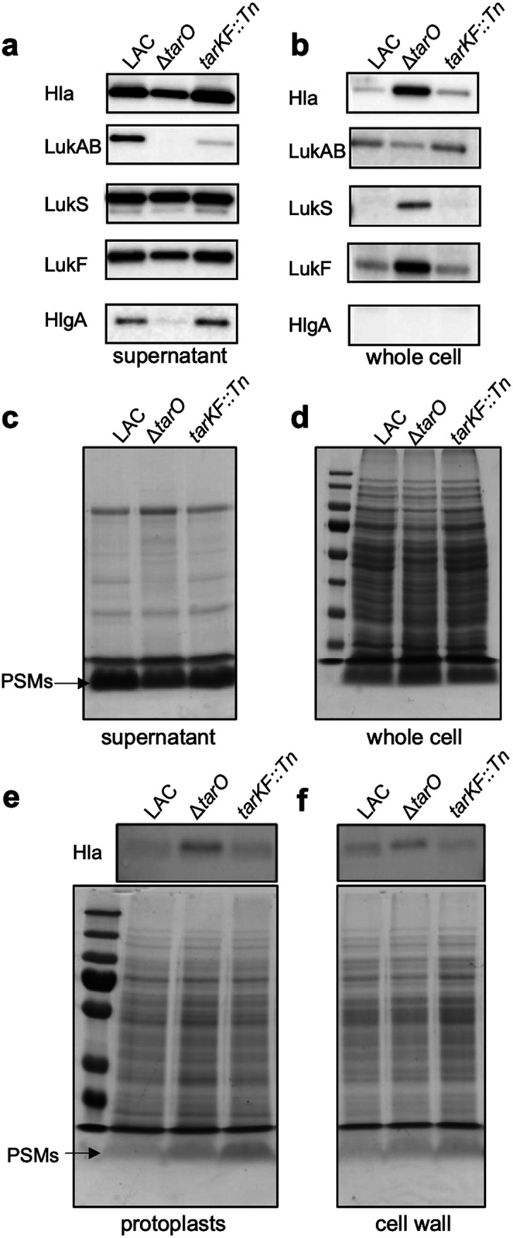 FIG 3