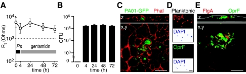 FIG. 4.