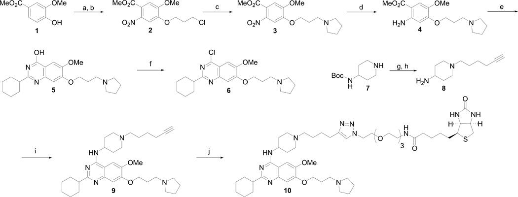 Scheme 1