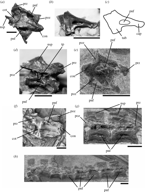 Figure 1.