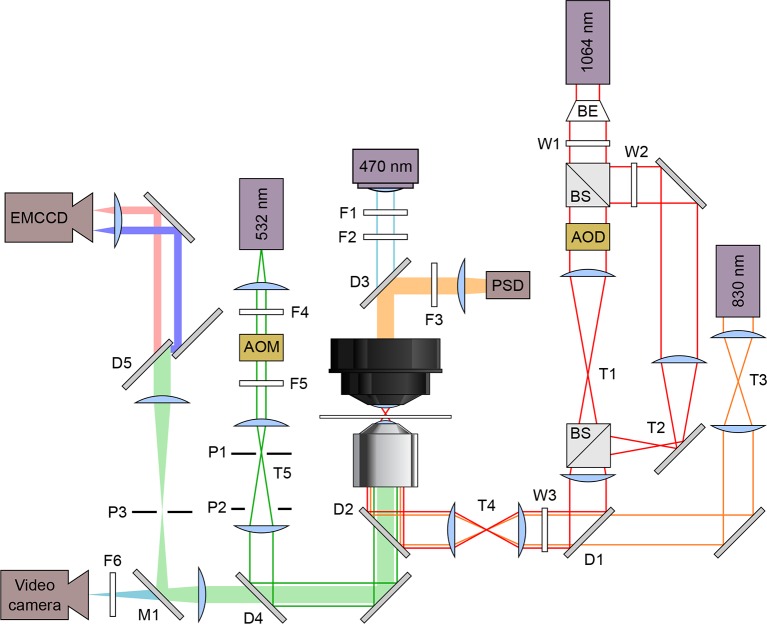 Figure 2.