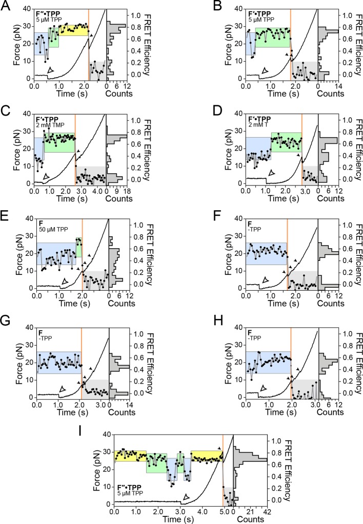 Figure 3—figure supplement 1.