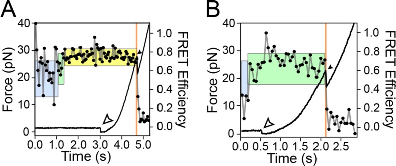 Figure 3—figure supplement 2.