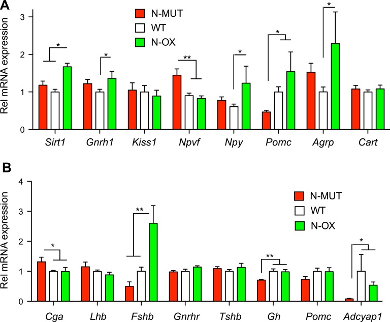 Figure 6.