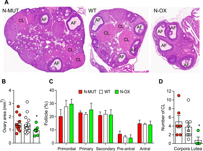 Figure 3.