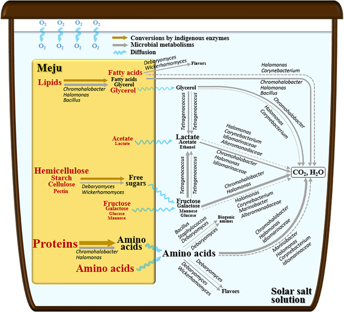 FIG 6