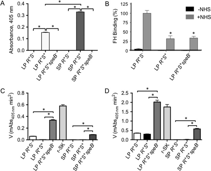 FIGURE 4.