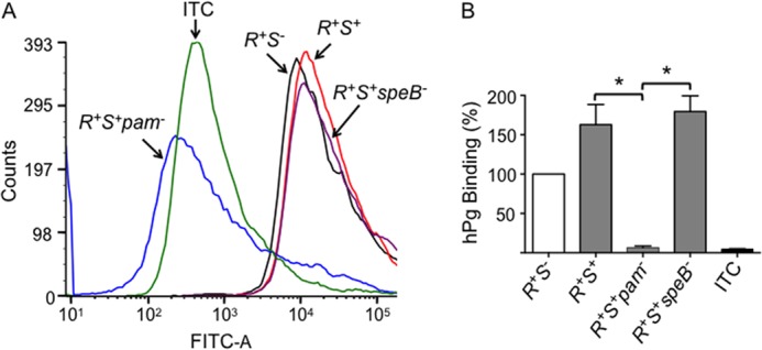 FIGURE 3.