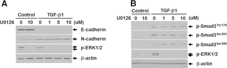 Supplementary Figure S2.