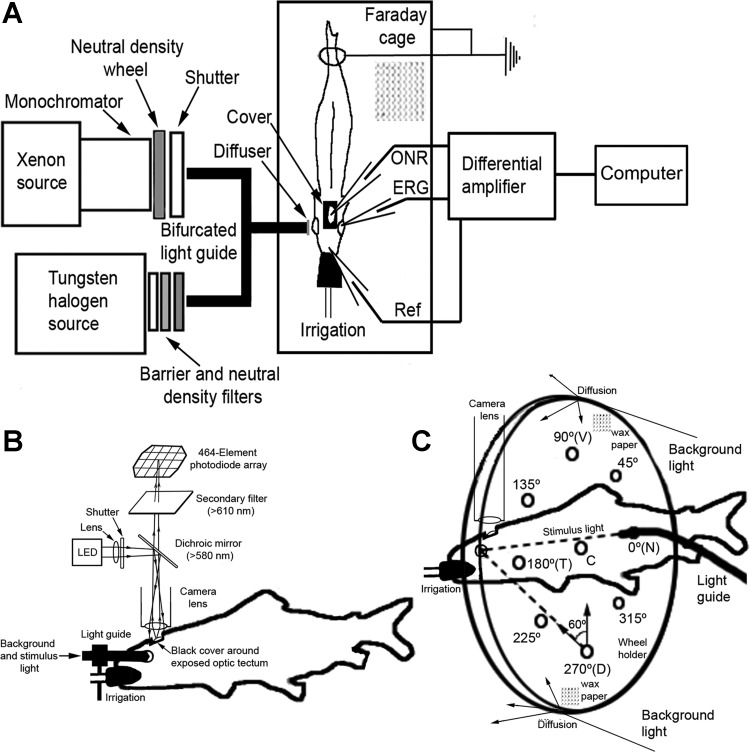 Fig. 1.