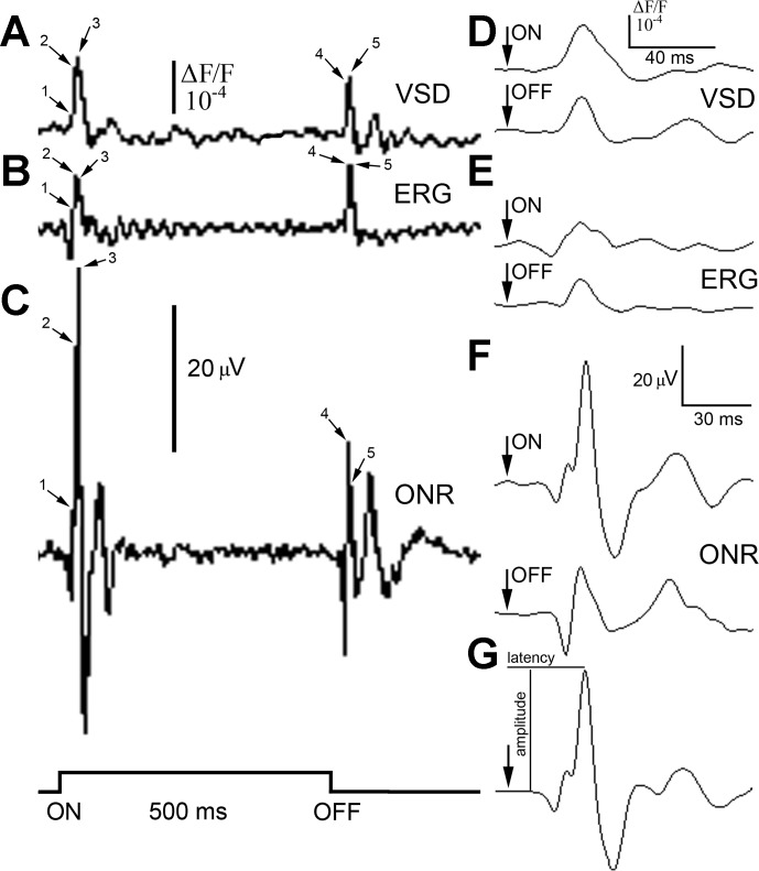 Fig. 2.