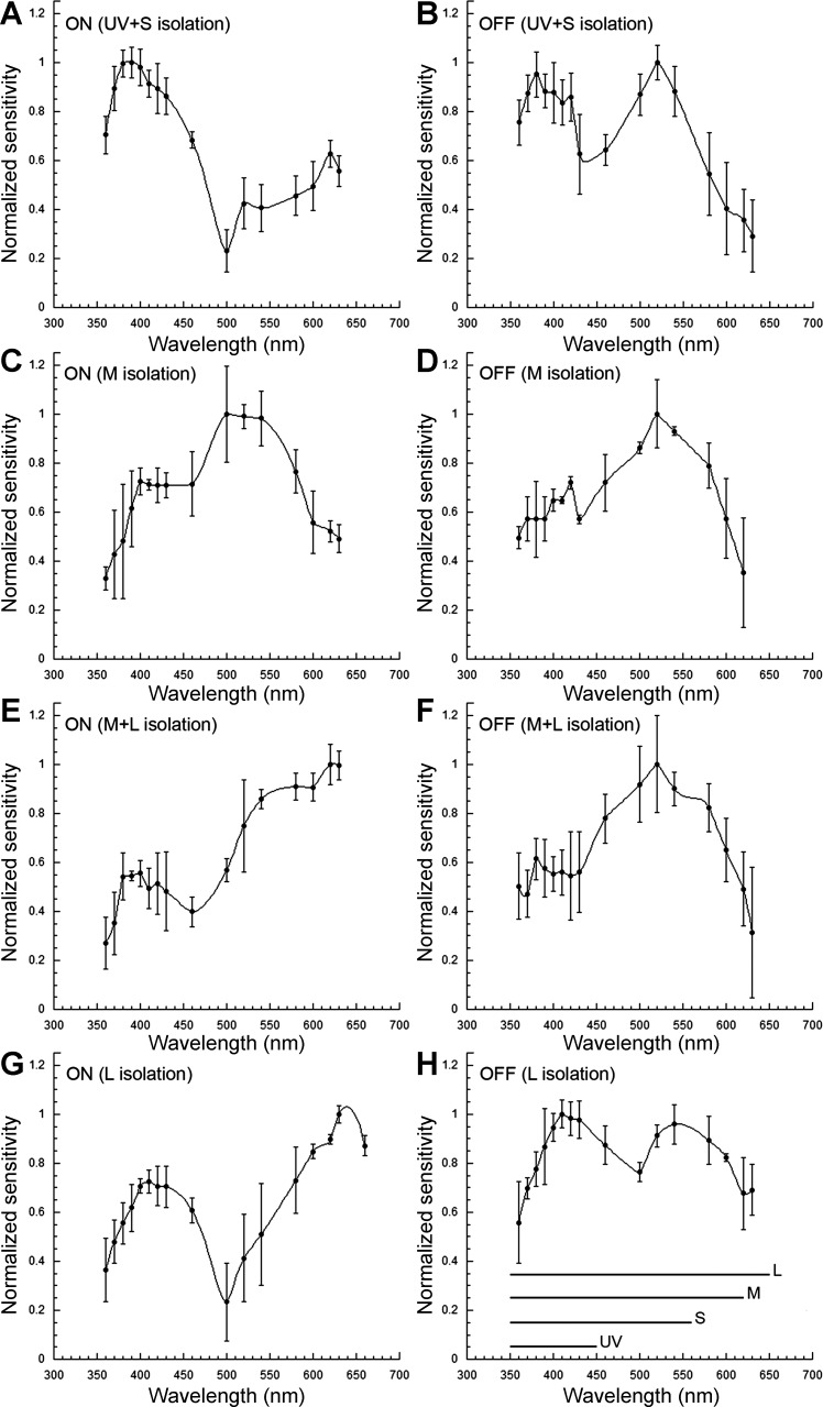 Fig. 7.