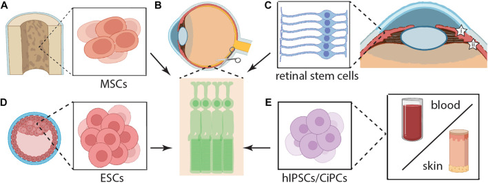 FIGURE 3