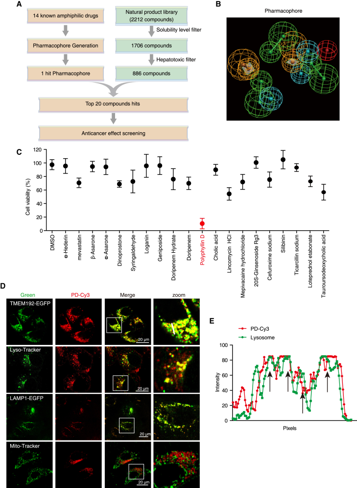 Figure 2