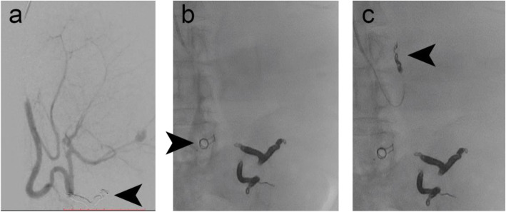 Fig. 7