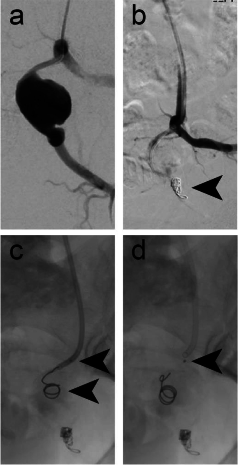 Fig. 5