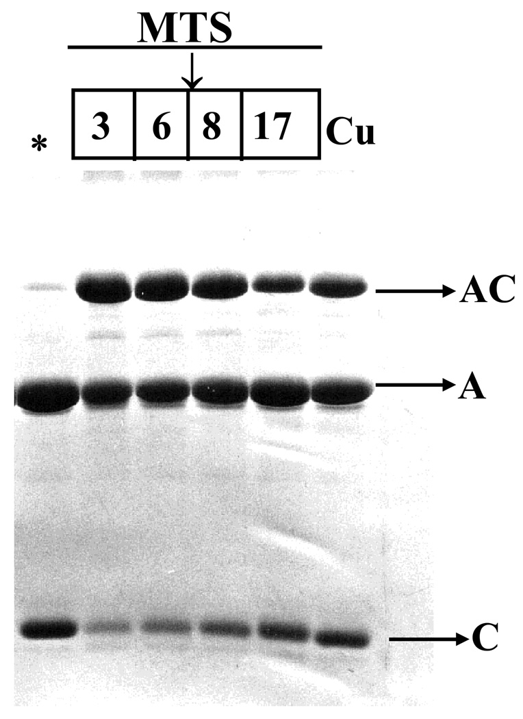 Figure 8