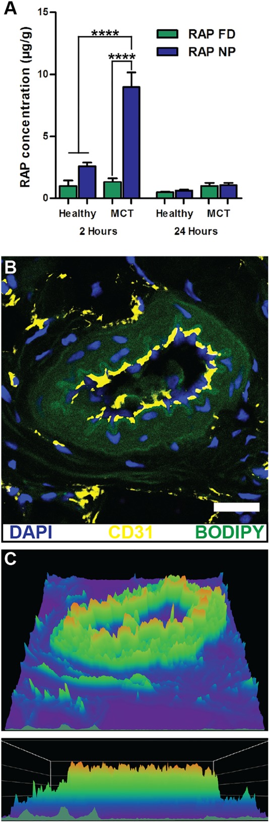 FIGURE 3