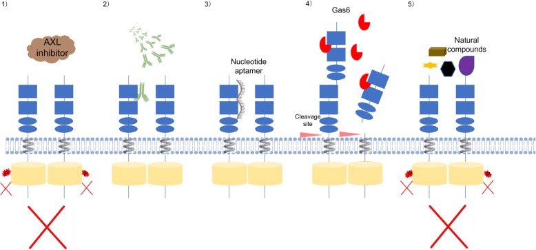 Fig. 2