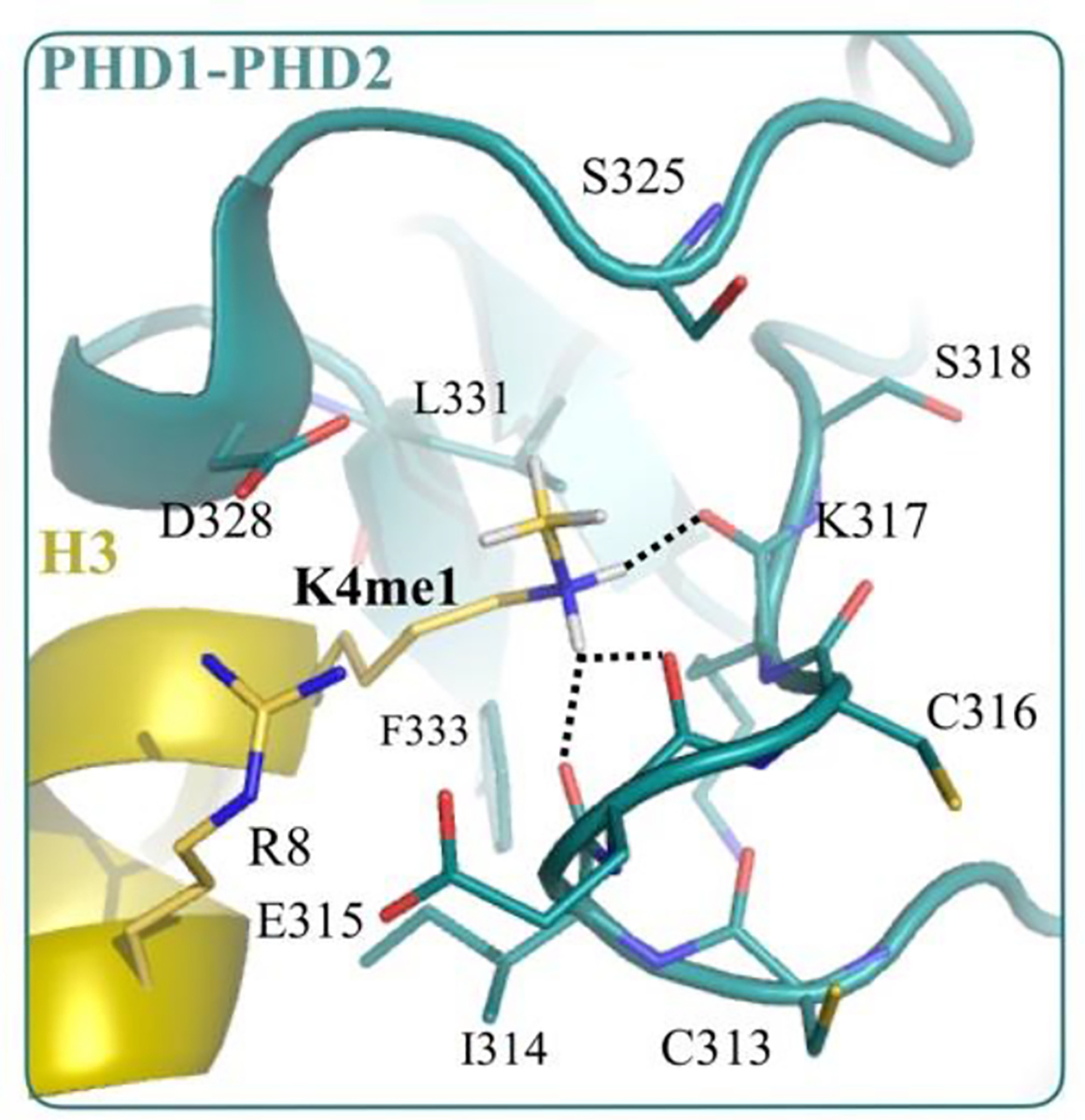 Figure 5: