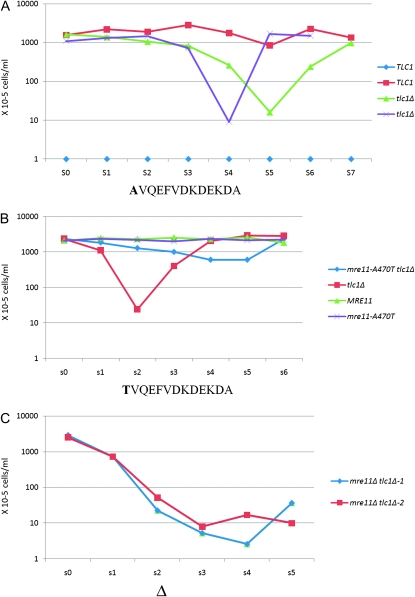 Figure 3.—