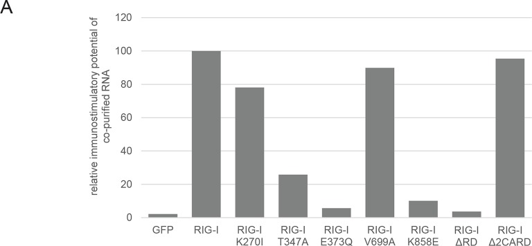 Figure 2—figure supplement 3.