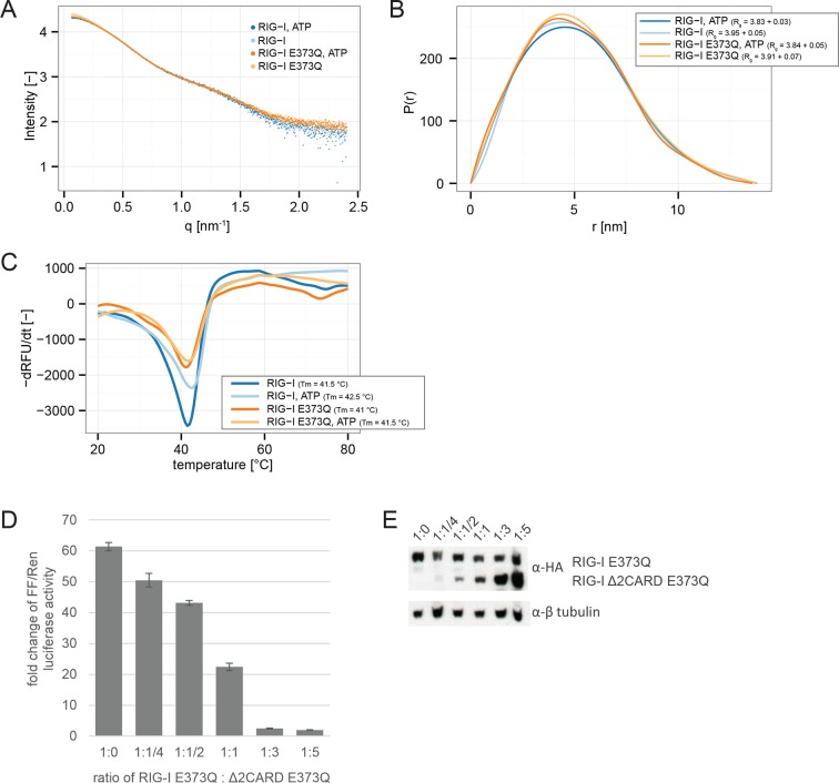 Figure 1—figure supplement 2.