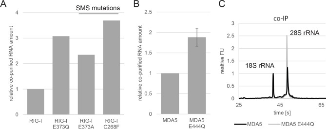 Figure 2—figure supplement 1.