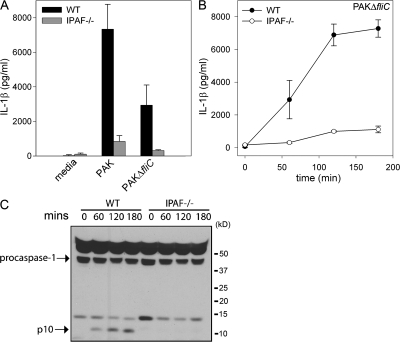 Figure 7.