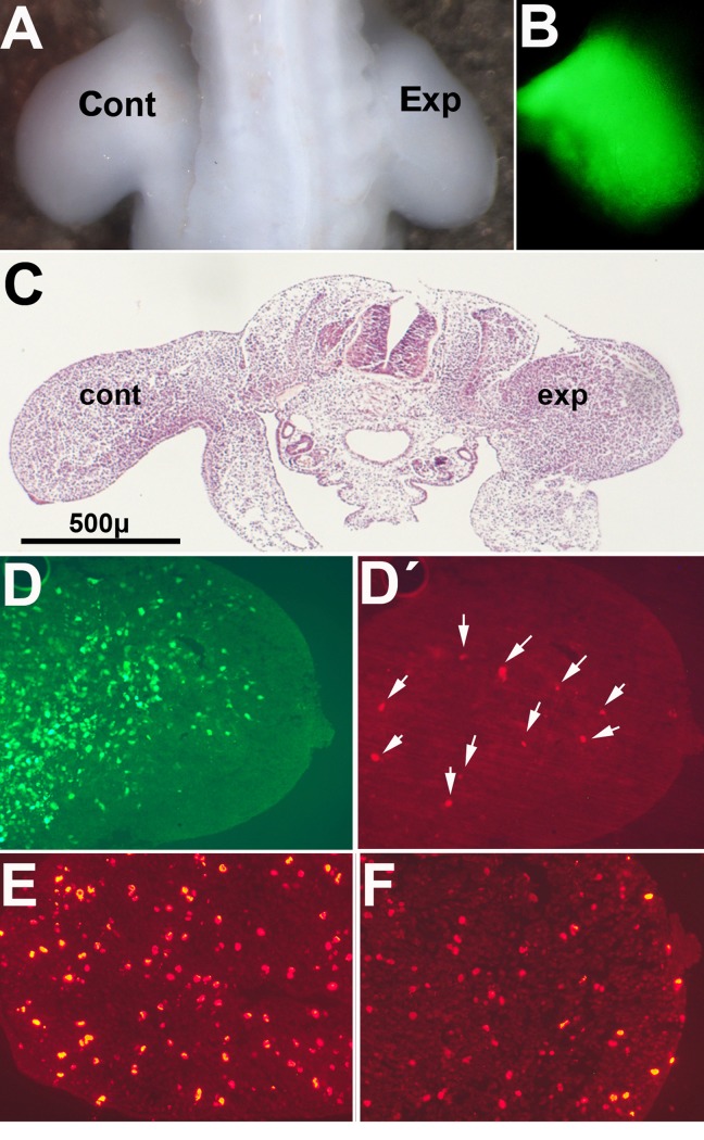 Figure 4